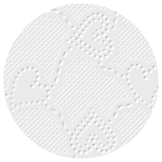 Anteprima goffratura